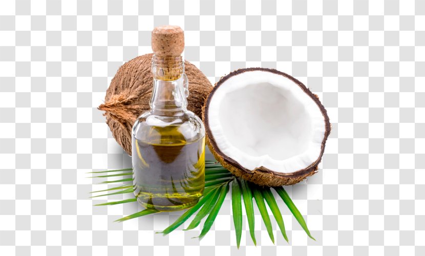 Coconut Oil Honey Ingredient - Vegetable Transparent PNG