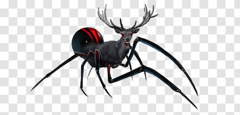 Spider Web Southern Black Widow Western Image - Arachnid Transparent PNG