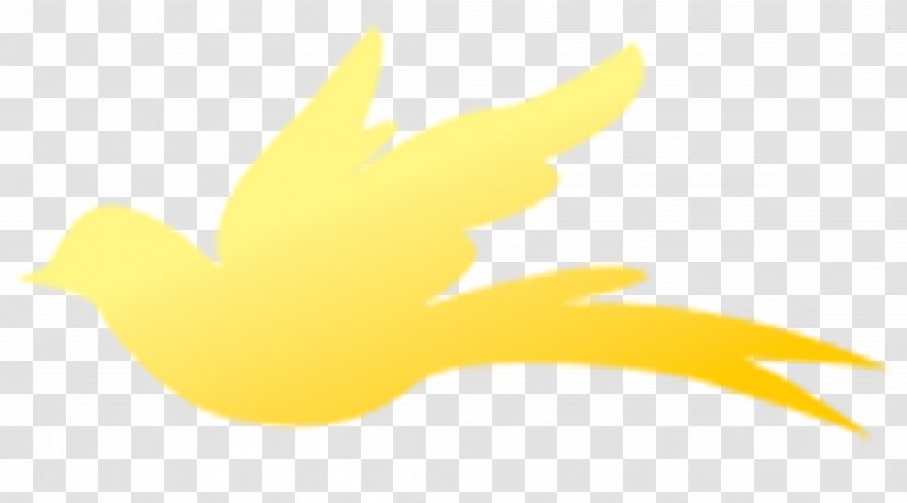 Beak Water Bird Duck Logo - Yellow Transparent PNG