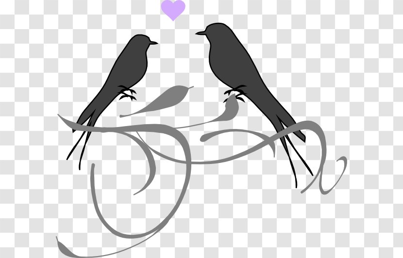 Lovebird Wedding Invitation Clip Art - Bird - Love Birds Transparent PNG