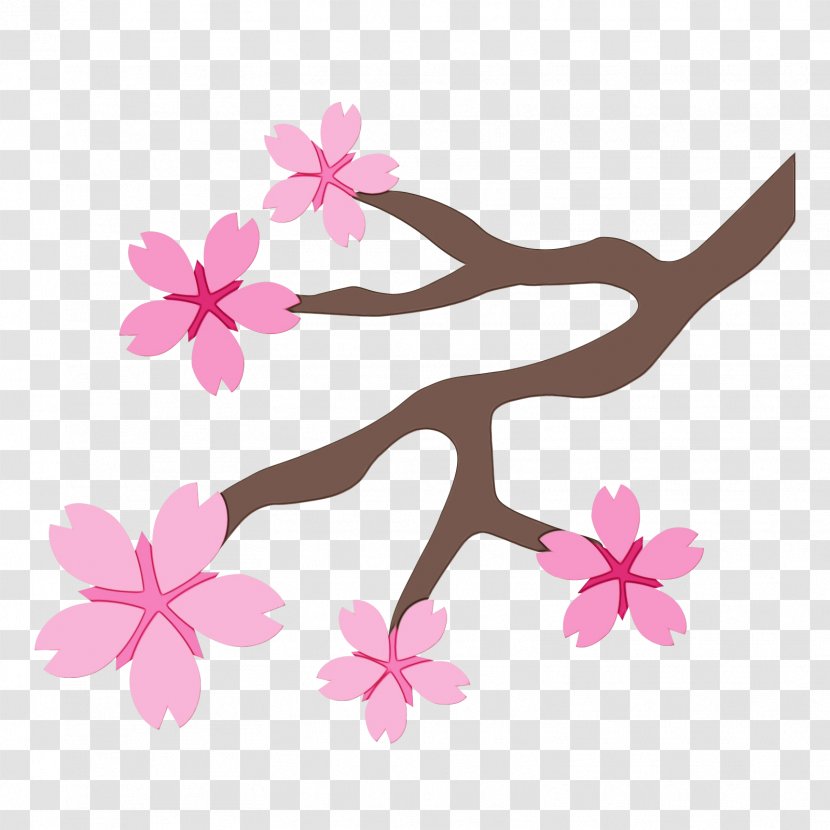 Apple Music Logo - Blossom - Wildflower Petal Transparent PNG