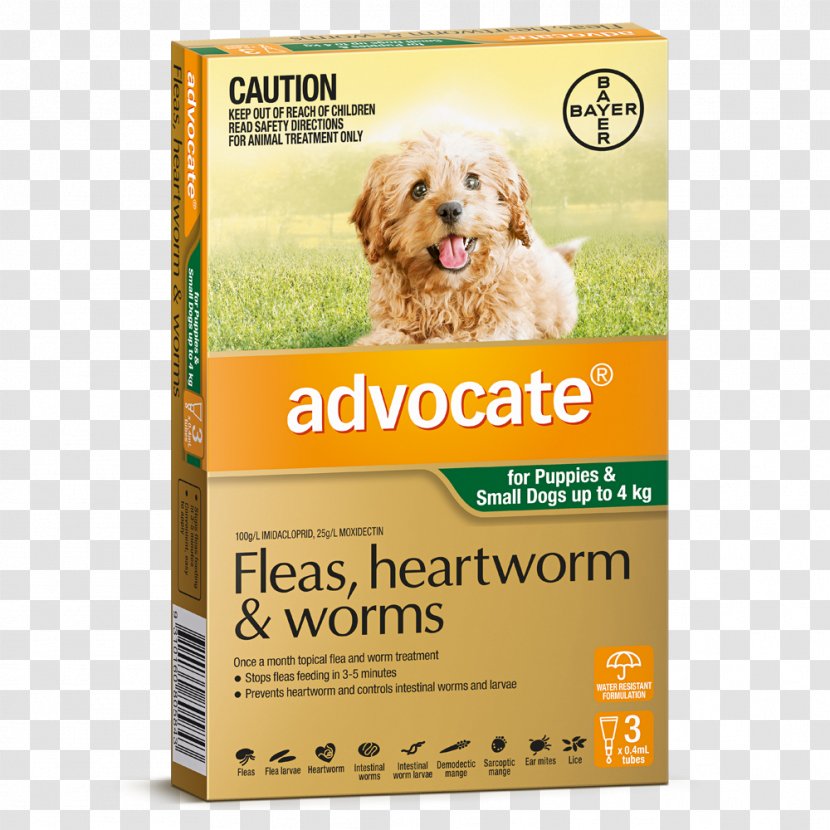 Dog Heartworm Cat Puppy Pet - Veterinarian Transparent PNG