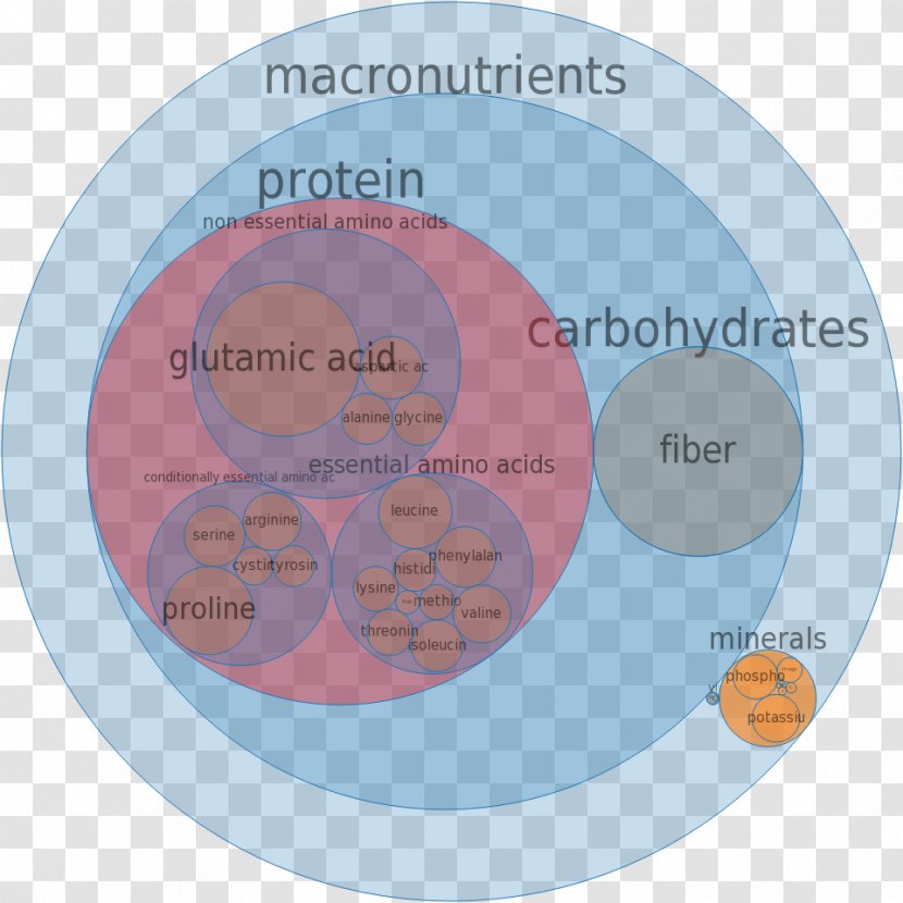 Nutrient Protein Food Low-fat Diet - Nutrition - Calorie Transparent PNG