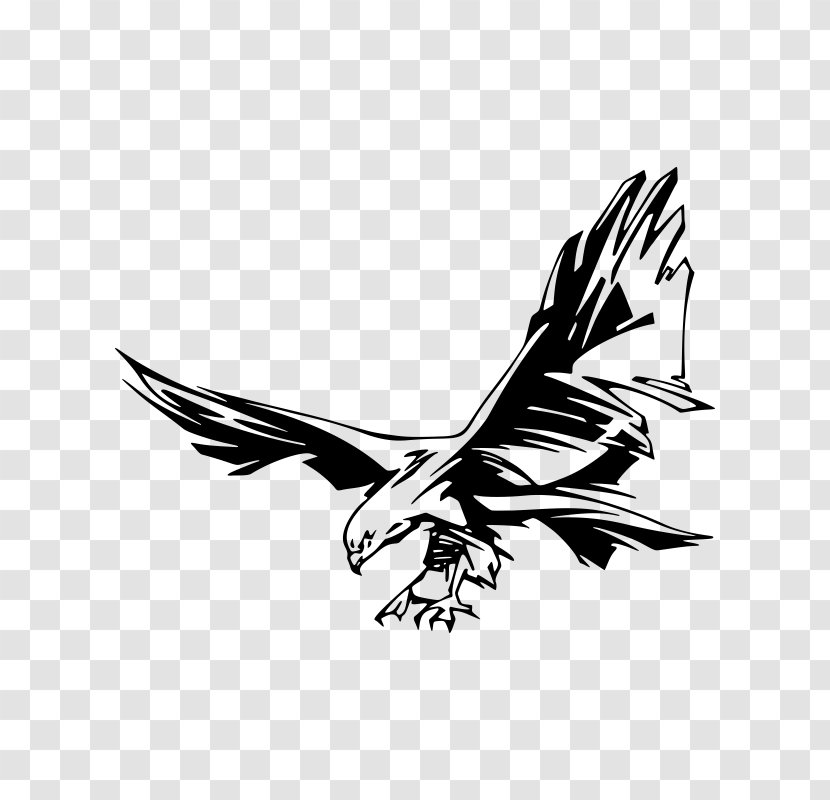 Eagle Stock Photography - Fauna Transparent PNG