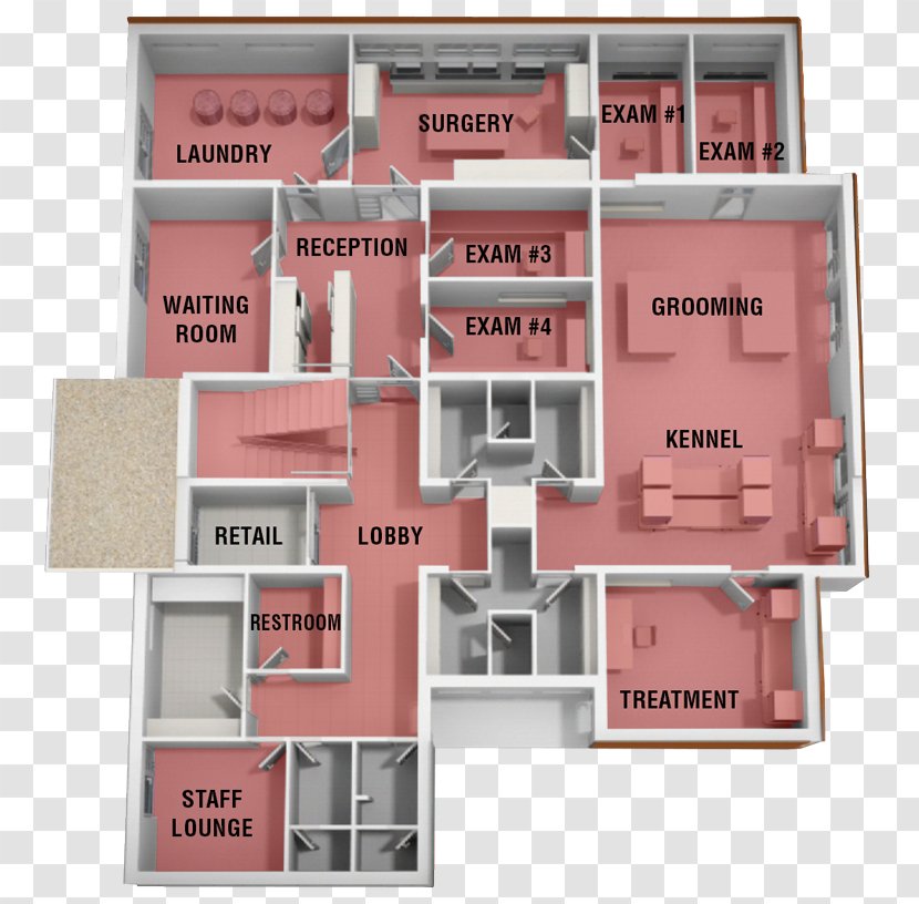 Dog Cat Floor Plan Veterinarian Transparent PNG