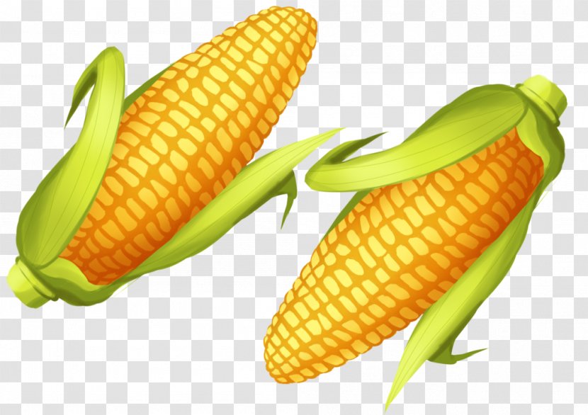 Corn On The Cob Junk Food Sweet Commodity Transparent PNG
