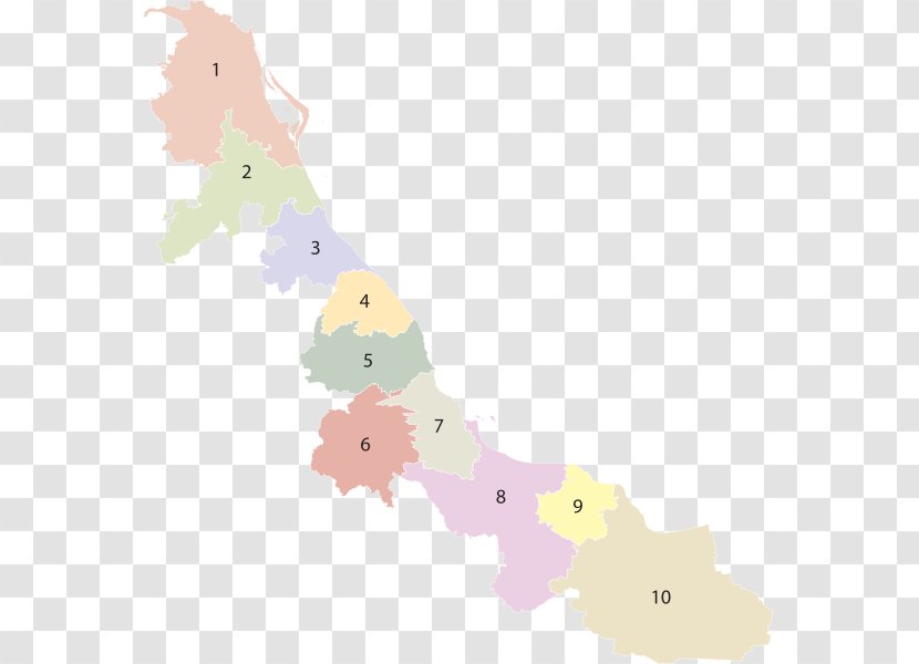 Veracruz World Map Region City - Vertebrate - Islamic Motif Transparent PNG