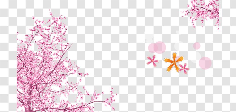 Pink Cherry Blossom Wallpaper - Blossoms Transparent PNG