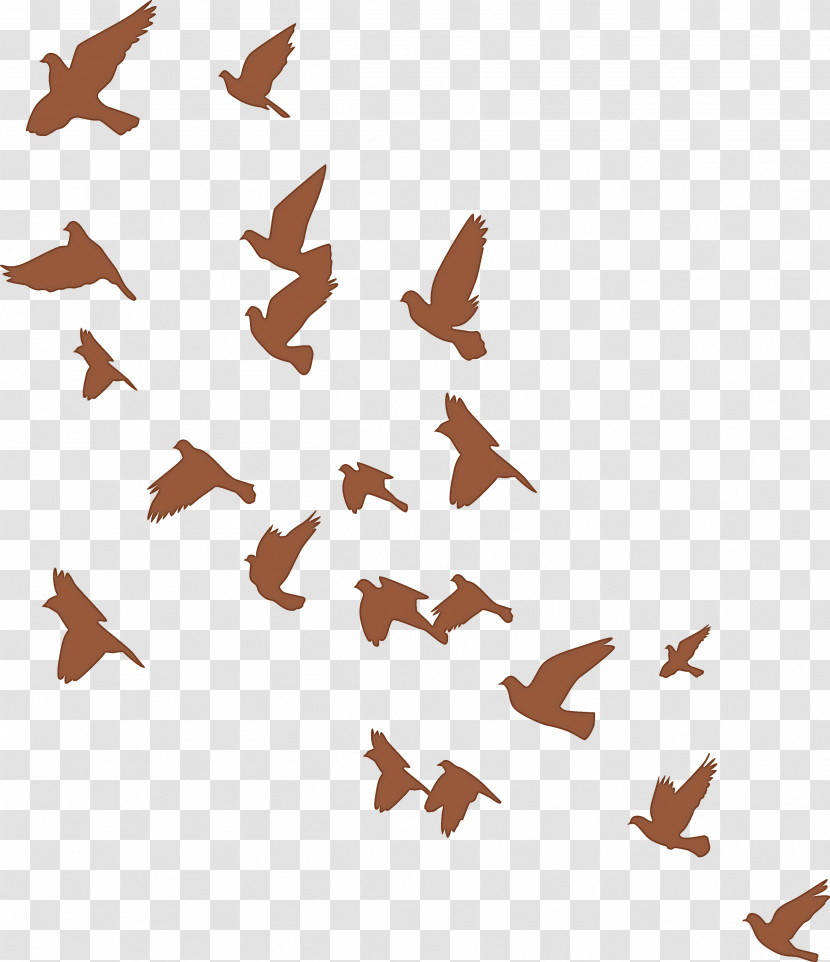Flying Birds Background Transparent PNG