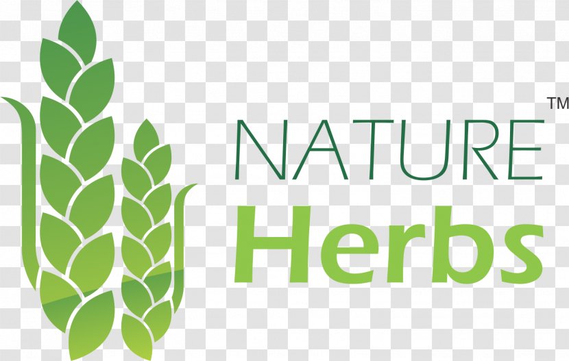 Nature Herbs Leaf Seed Food Transparent PNG
