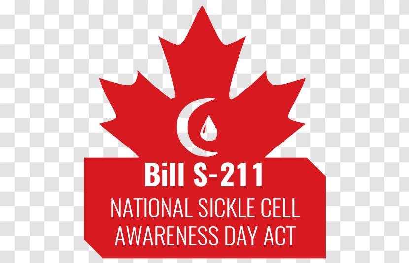 Maple Leaf Logo Brand World Sickle Cell Day Font - Artwork - Disease Transparent PNG