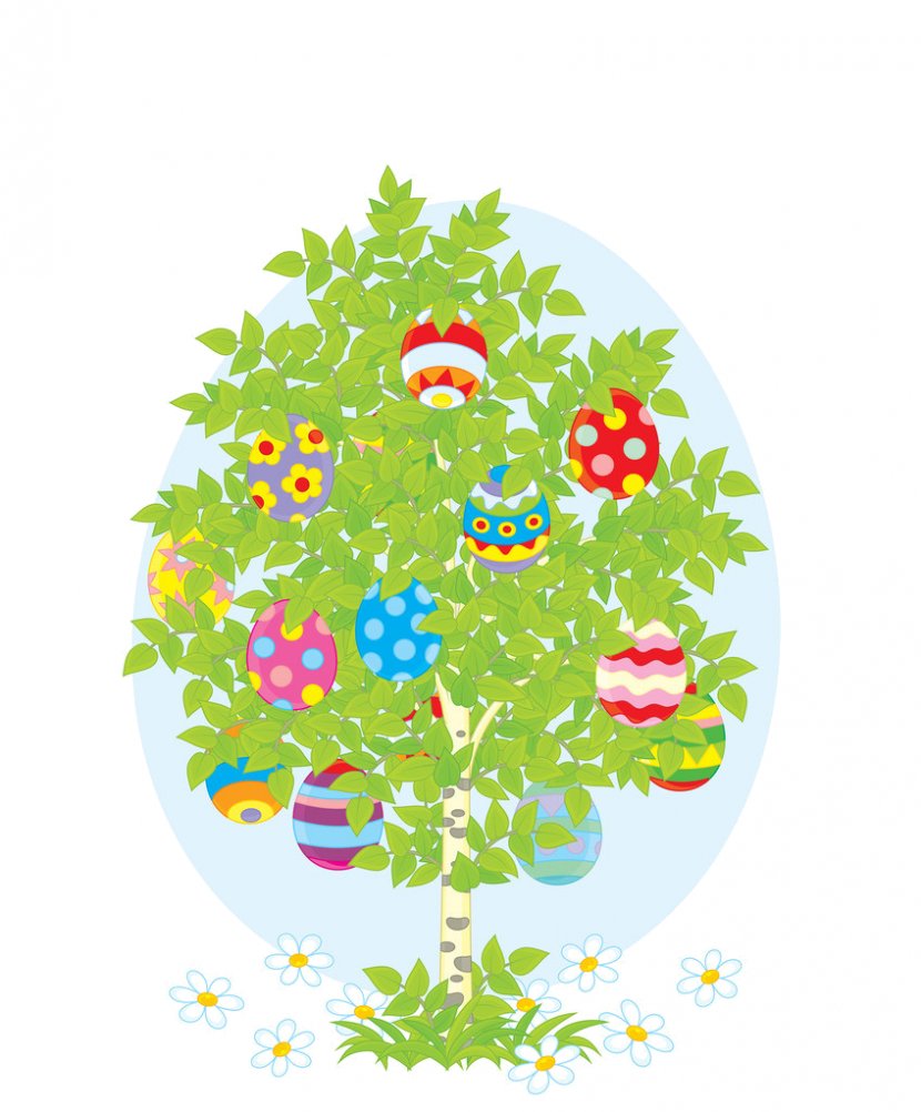 Vector Graphics Clip Art Royalty-free Illustration - Photography - Flora Transparent PNG