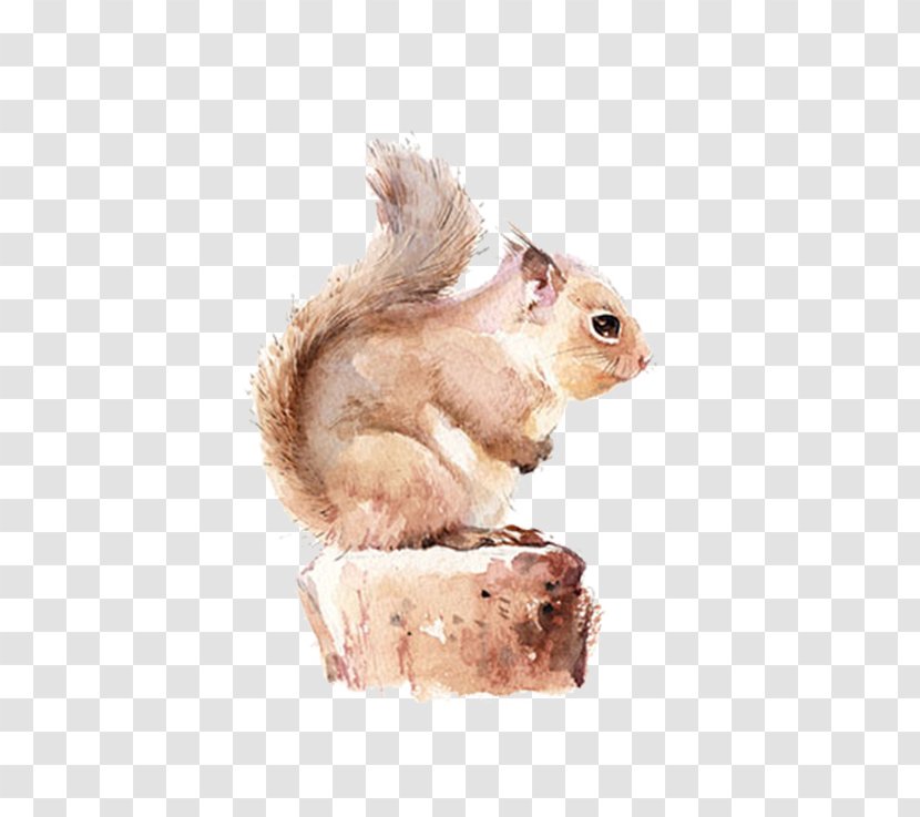 Chipmunk Squirrel Watercolor Painting - Brown Transparent PNG