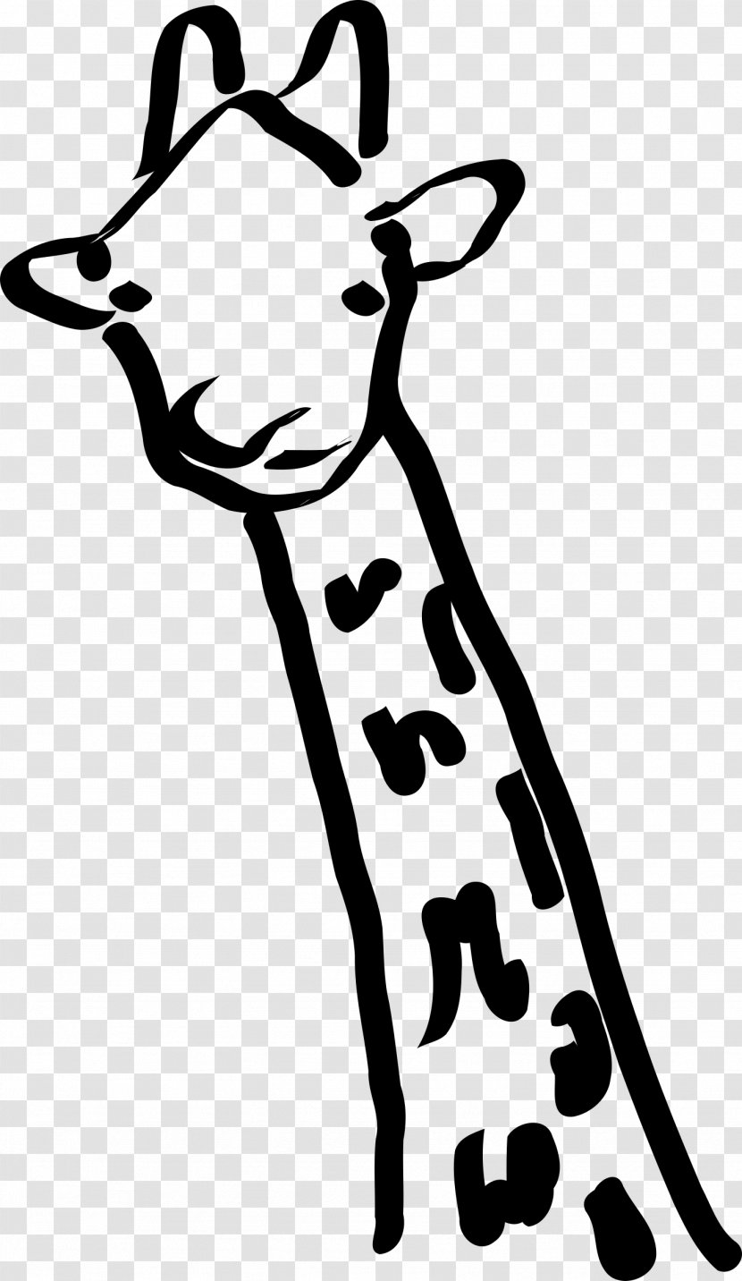 Giraffe Clip Art - Drawing Transparent PNG