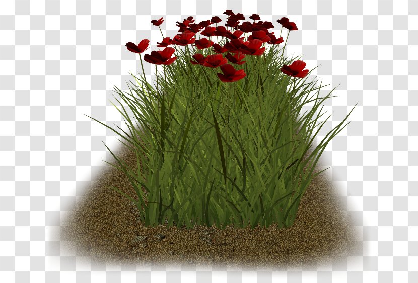Clip Art - Flowering Plant - Chef 3d Transparent PNG