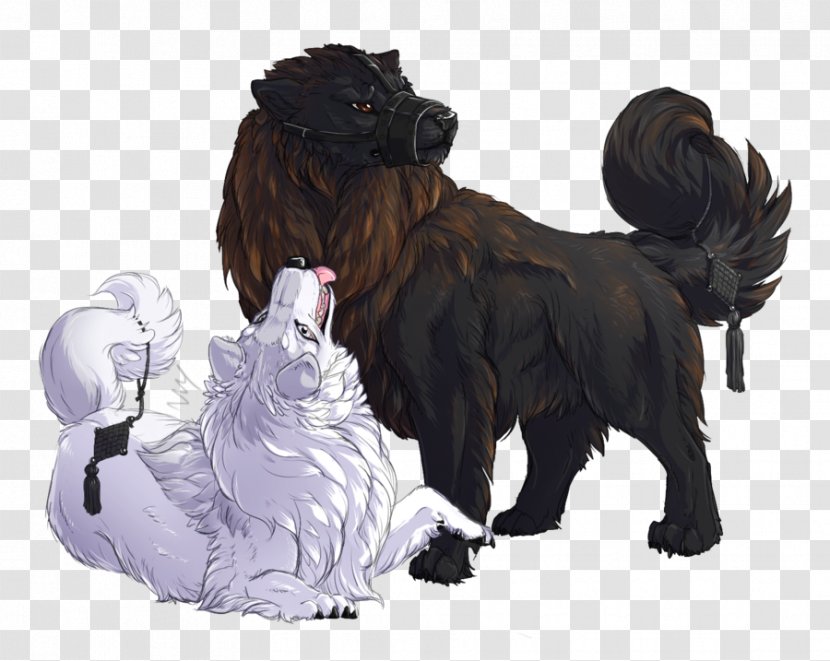 Dog Breed Newfoundland Sporting Group Snout - Shisa Transparent PNG