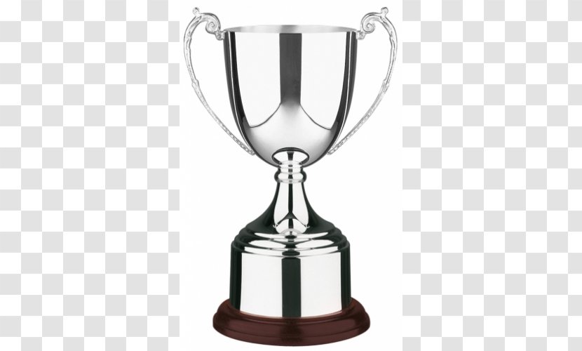 Trophy Award Cup Craft Silver - Glass Transparent PNG
