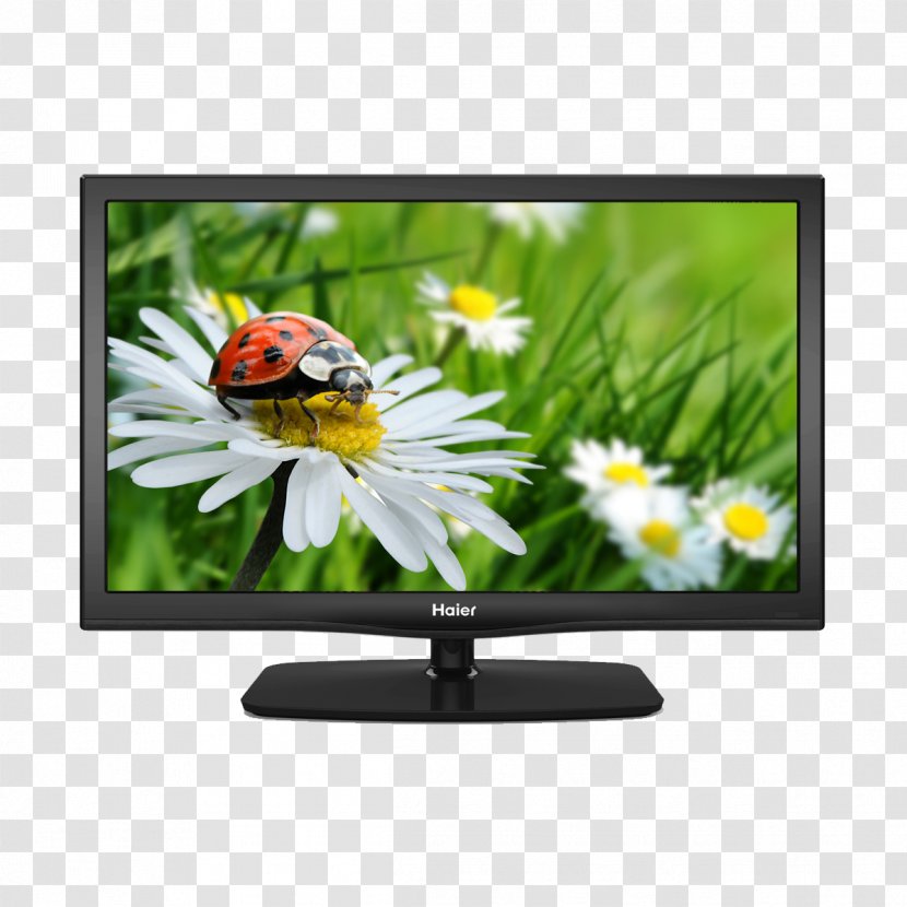 LED-backlit LCD 1080p High-definition Television Haier - Media - Screen Transparent PNG