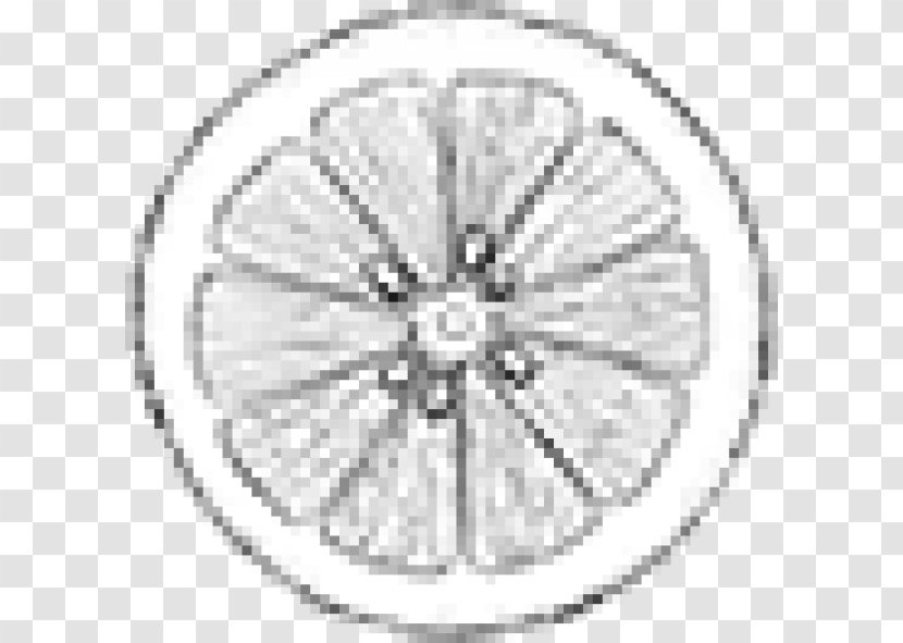Bicycle Wheels Spoke Rim Alloy Wheel NSE:NUCLEUS - Computer Software - Circle Transparent PNG