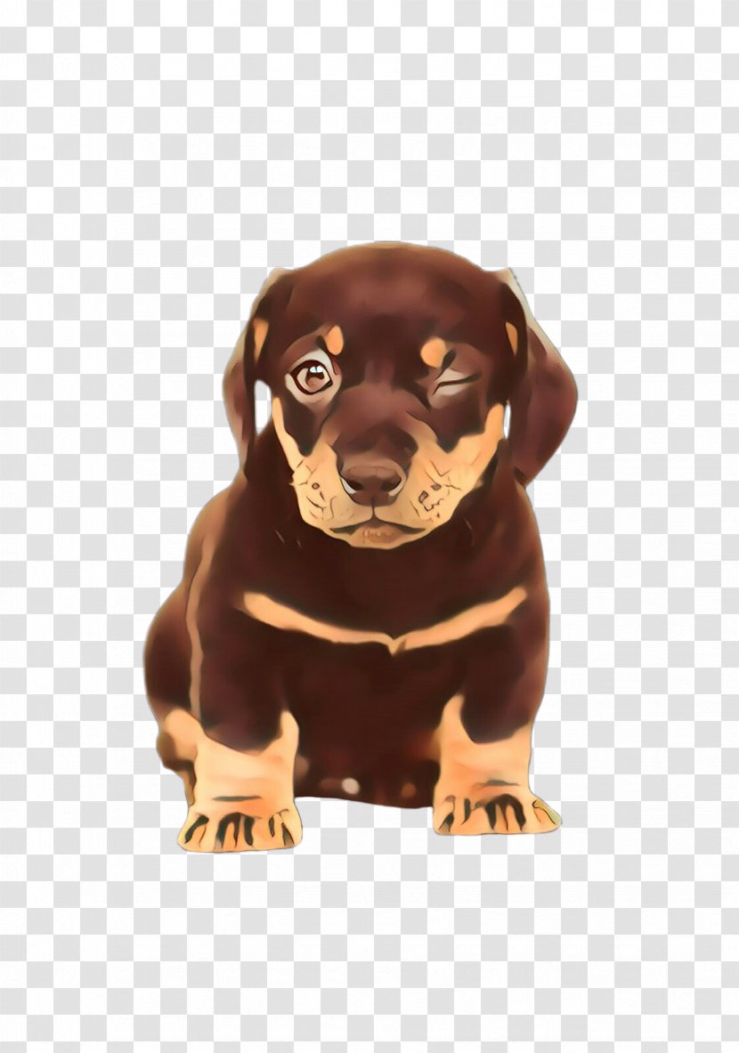 Cute Cartoon - Canidae - Sporting Group Rottweiler Transparent PNG