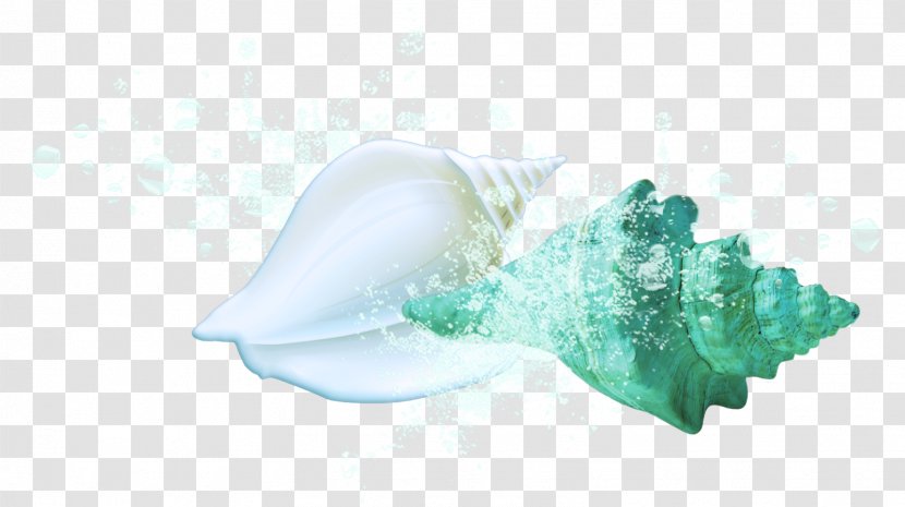 Plastic Turquoise - Aqua - Sea Shells Transparent PNG