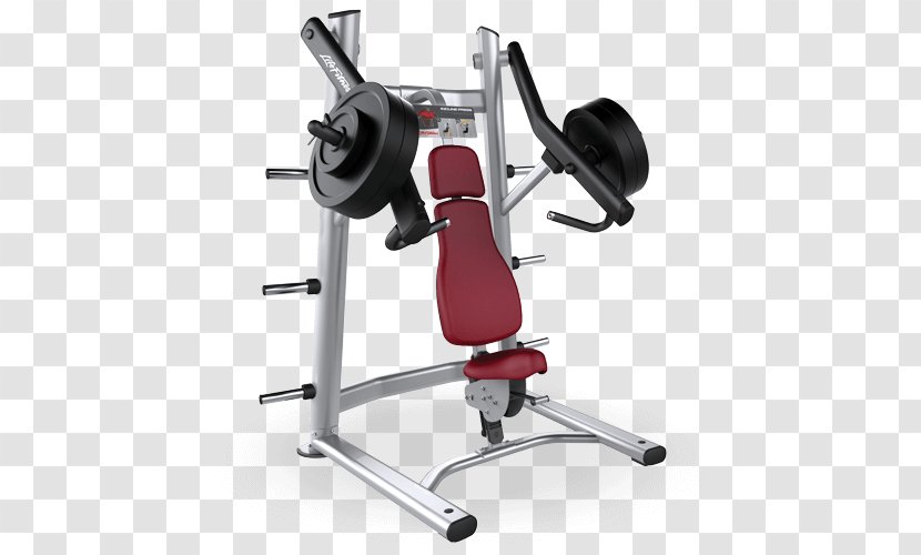 Biceps Curl Row Weight Training Strength Life Fitness - Bench Transparent PNG