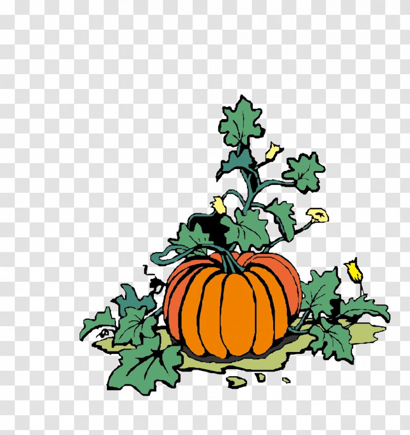 Pumpkin Jack-o-lantern Halloween Vegetable Clip Art Transparent PNG