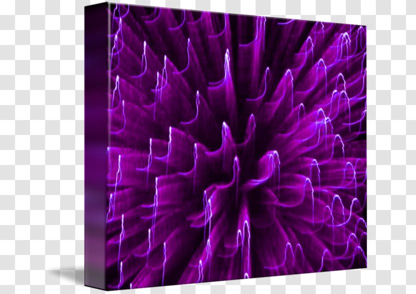 Gallery Wrap Canvas Art Dahlia Purple - Sr Smith Llc - Fire Transparent PNG