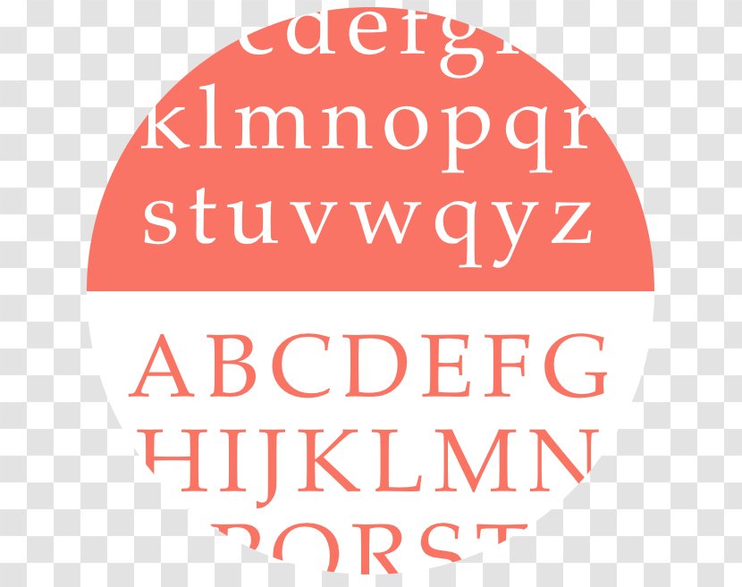 Letter Case Alphabet Cursive Font - Typography - History Of World Transparent PNG