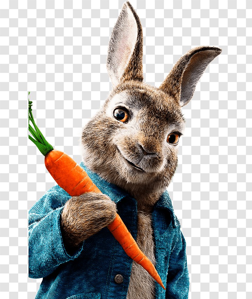 The Tale Of Peter Rabbit Mr. McGregor Meet Cinema Film - James Corden Transparent PNG