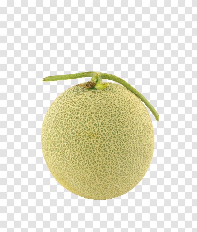 Hami Melon Honeydew Cantaloupe - Yuzu Transparent PNG