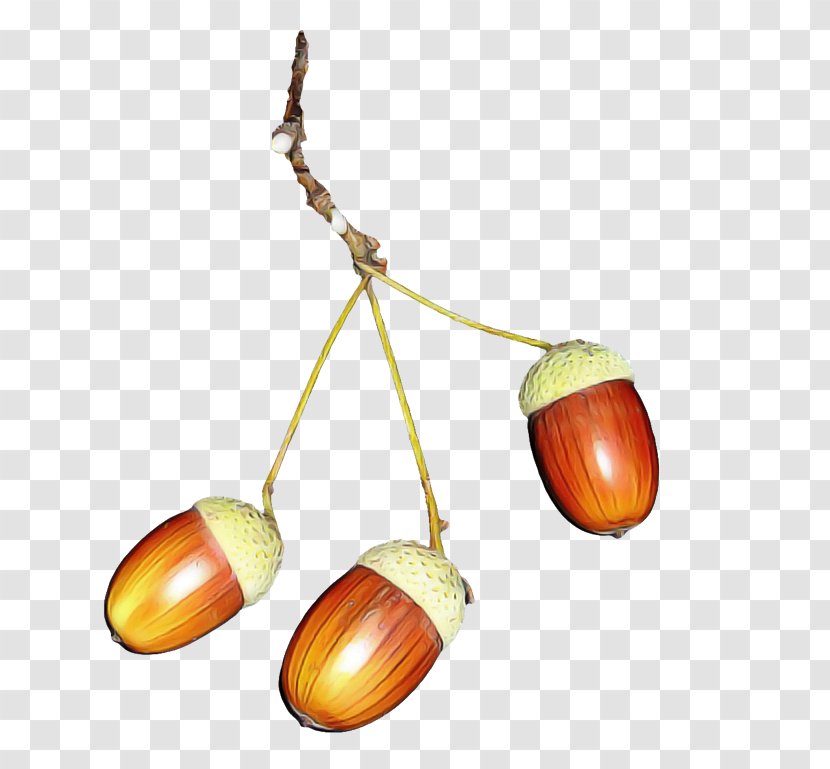 Chestnut Tree Nut Plant Transparent PNG