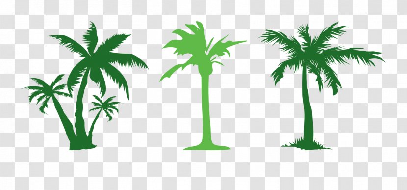 Tree Evergreen Arecaceae Clip Art - Plant Stem - Simple Green Coconut Transparent PNG