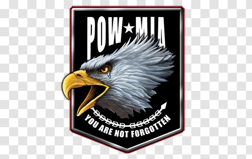 Metal United States Tin Patriotism Advertising - Bird Of Prey Transparent PNG