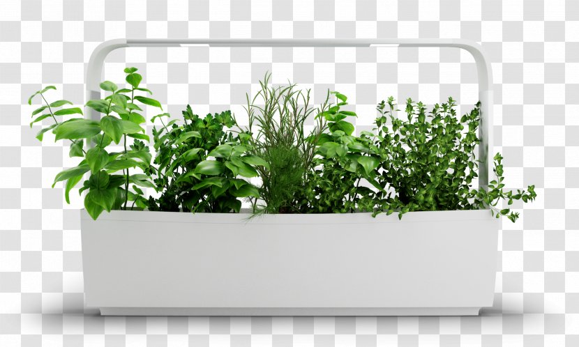 Tregren Kitchen Garden Gardening Hydroponics - Green Wall - Culture Transparent PNG