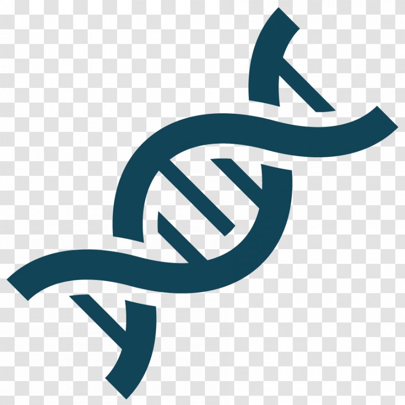 KCNK9 Birk-Barel Syndrome Genetics DNA - Nucleic Acid Double Helix - Dna Transparent PNG