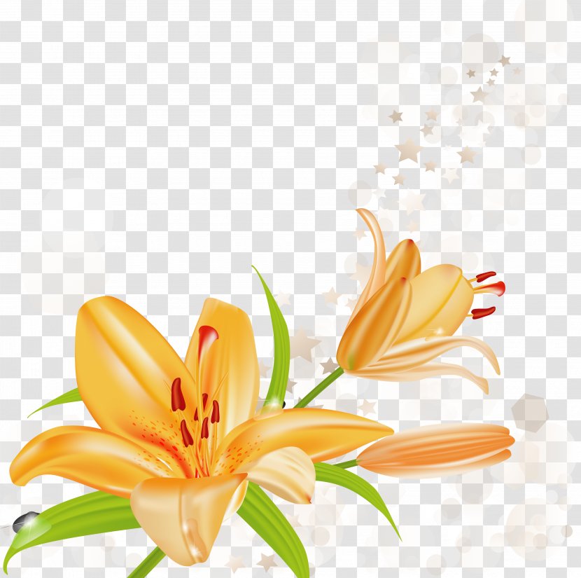 Lilium Bulbiferum Tiger Lily Arum-lily Clip Art - Cherry Blossom Transparent PNG