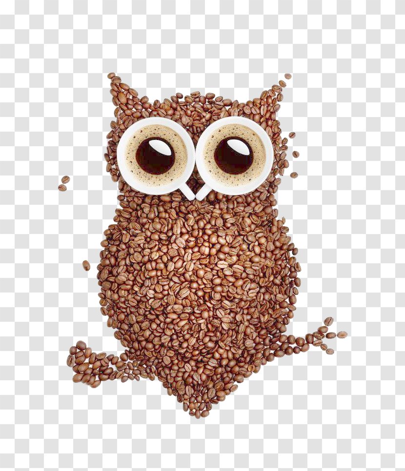 Coffee Bean Latte Tea Cafe - Owl Transparent PNG