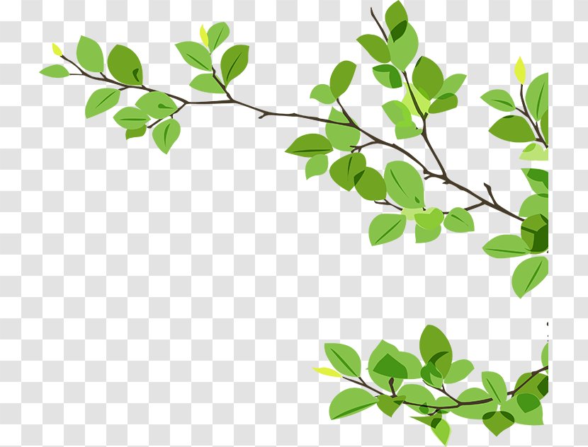 Branch Twig Clip Art - Wall Decal - Green Leaves Transparent PNG