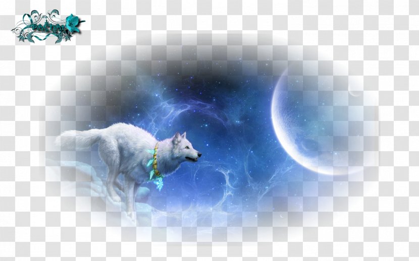 Earth /m/02j71 Gray Wolf Desktop Wallpaper Transparent PNG