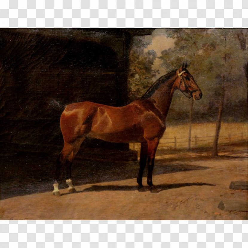 Thoroughbred Mare Oil Painting - Horse Tack - Fine Transparent PNG