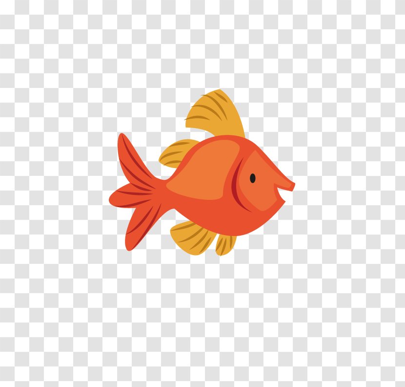 Fish Red Euclidean Vector - Vertebrate - Cute Transparent PNG