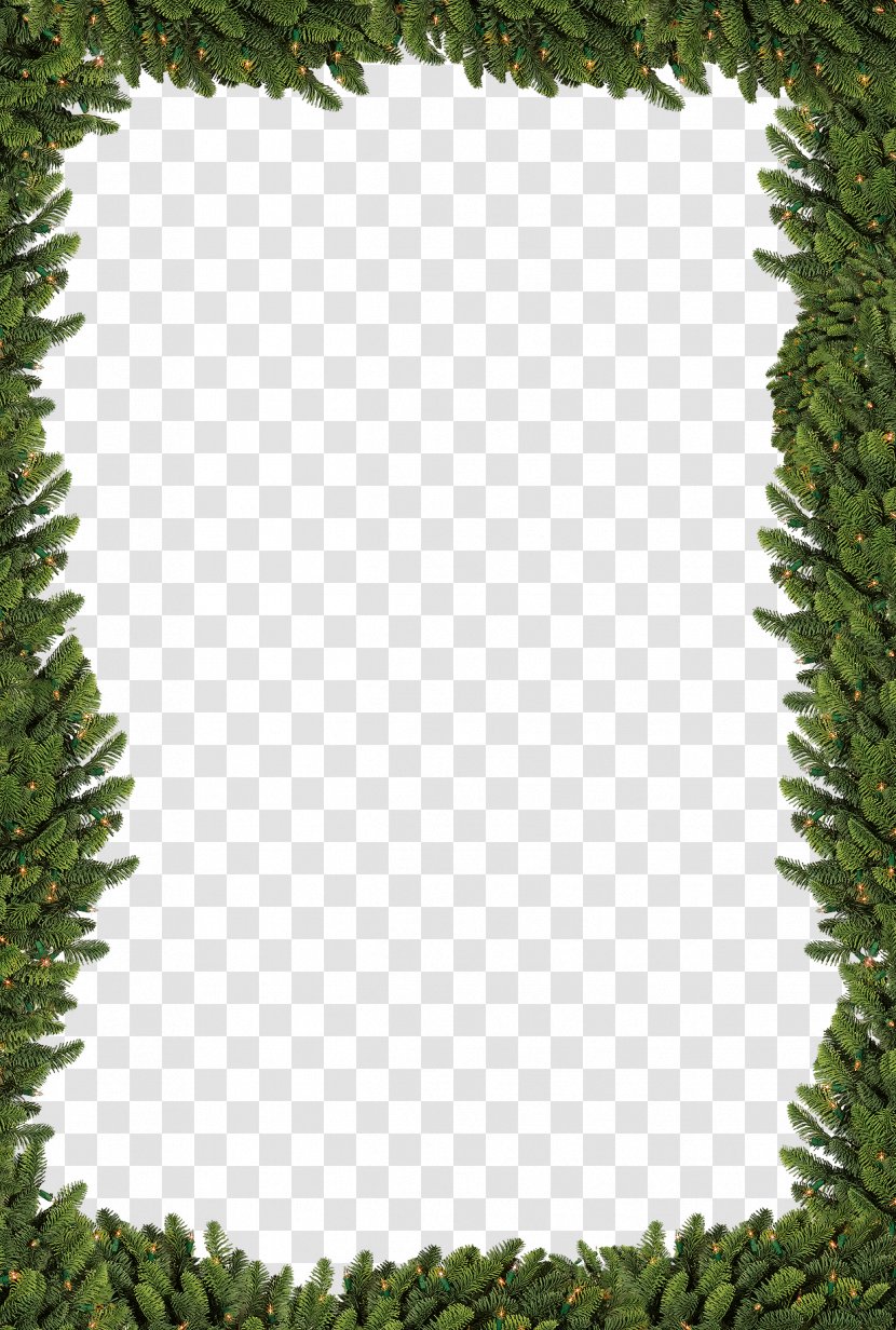 Christmas Tree Star Of Bethlehem - Border Transparent PNG