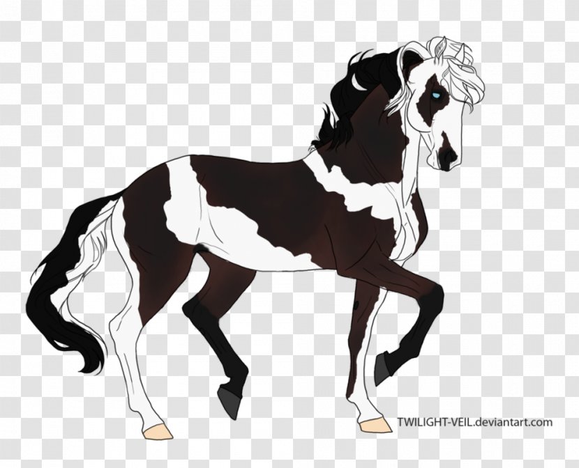 Stallion Mustang Foal Colt Pony - Fictional Character Transparent PNG