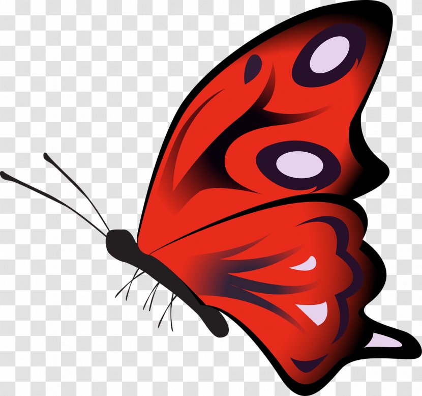 Clip Art Monarch Butterfly GIF Transparent PNG