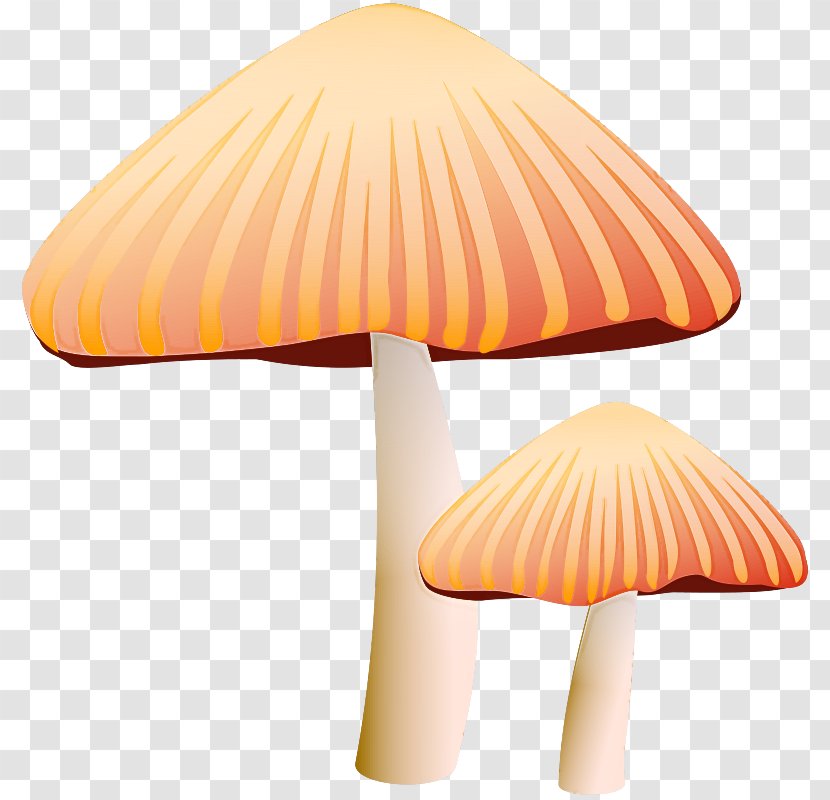 Orange - Mushroom - Edible Agaricaceae Transparent PNG