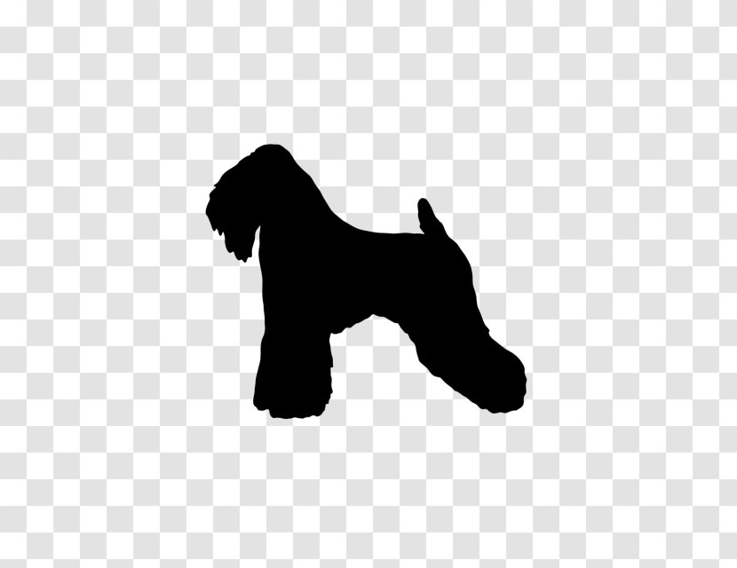 Miniature Schnauzer Puppy Soft-coated Wheaten Terrier Dog Breed Yorkshire - Silhouette - Muddy Water Transparent PNG