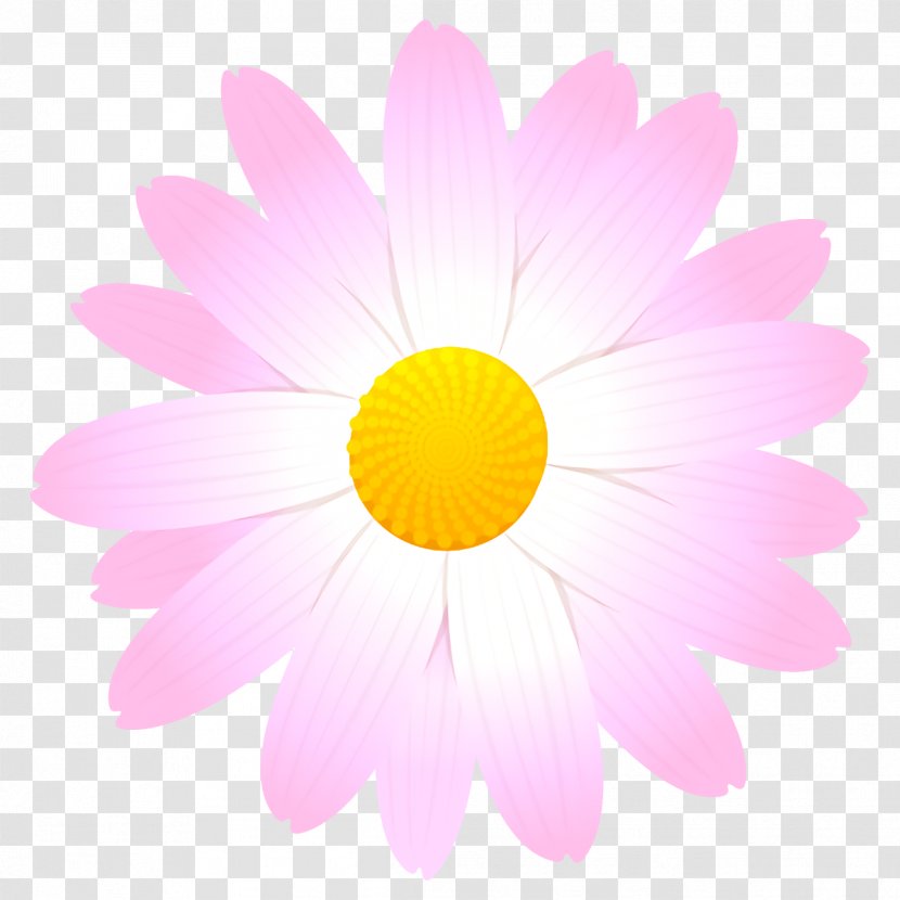Daisy - Chamomile - Sky Plant Transparent PNG