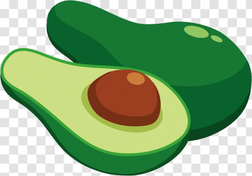 Fruit Avocado Clip Art - Vector Transparent PNG