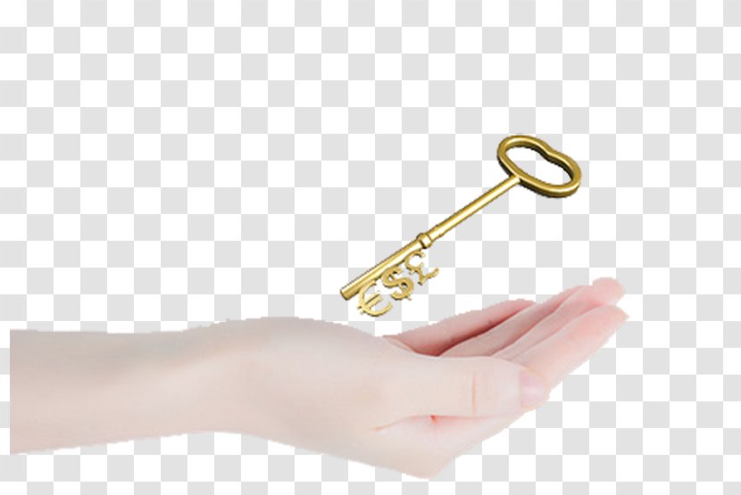 Download Gratis Drawing - Finger - There Is A Key On Hand Transparent PNG